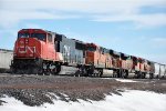 Tied down sand train